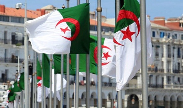   مصر اليوم - الجزائر ستمد سلوفينيا بالغاز عبر خط ترانسميد