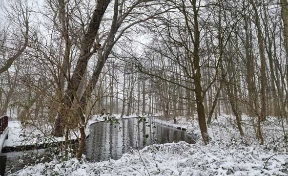   مصر اليوم - خسائر مادية وبشرية وإجلاء الآلاف جراء العاصفة كارل في السلفادور