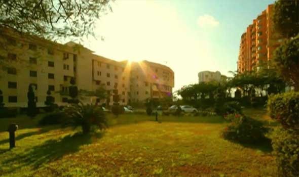   مصر اليوم - طلاب جامعة المنصورة ينظمون مبادرة «النظافة أسلوب حياة»