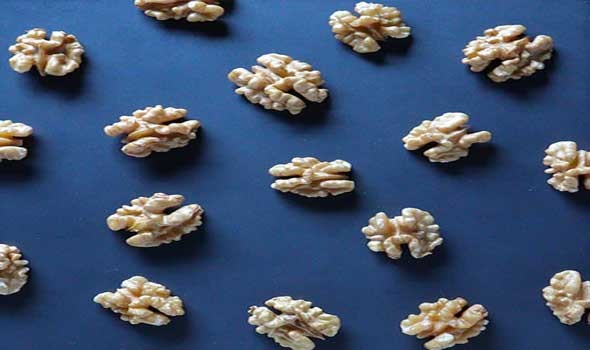   مصر اليوم - فوائد صحية مذهلة لجوز عين الجمل