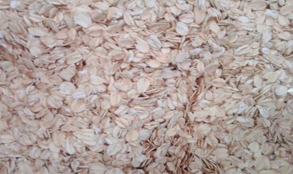   مصر اليوم - تناول الشوفان لمدة يومين يساعد على خفض مستوى الكوليسترول وضغط الدم