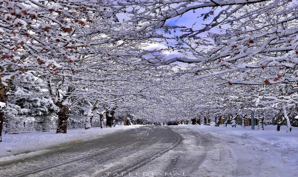   مصر اليوم - اليابان تُحذر من اضطرابات مرورية بسبب التساقط الكثيف للثلوج فى المناطق المتضررة من الزلزال