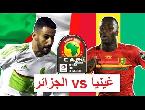 شاهد بثّ مباشر لمباراة الجزائر ضد غينيا
