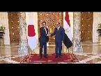 السيسي يبحث مع رئيس وزراء اليابان الأمن الإقليمي والدولي