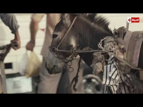 محمد منير يبدأ المغني بـلولا الحكومة