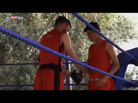 4 فرق وحلبة ملاكمة يتيمة