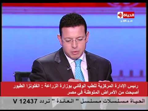 توقعات بارتفاع الإصابة بـأنفلونزا الطيور خلال الشتاء