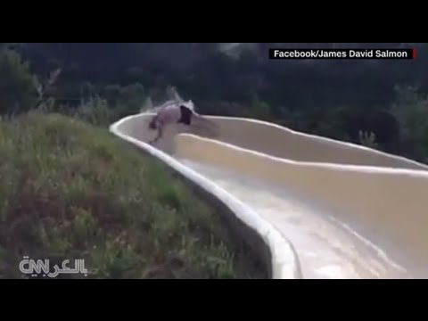 سقوط شاب أميركي من أفعوانية مائية