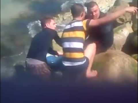 بالفيديو سمكة قرش كبيرة تظهر في مياه بحر الإسكندرية بشكل مفاجئ