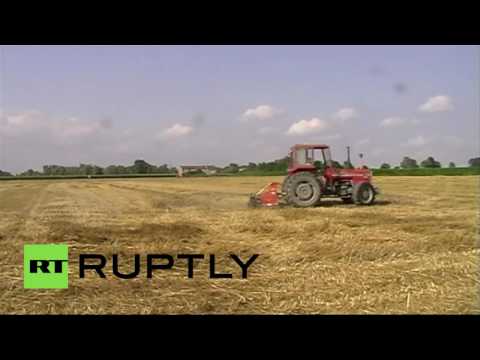 فنان إيطالي يرسم لوحة رائعة لأولمبياد ريو بجرار زراعي