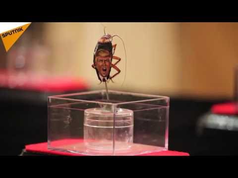 فنان يرسم وجه ترامب على صرصار ويبيعه بـ3000 دولار