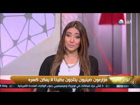 مزارعون صينيون ينتجون بطيخا