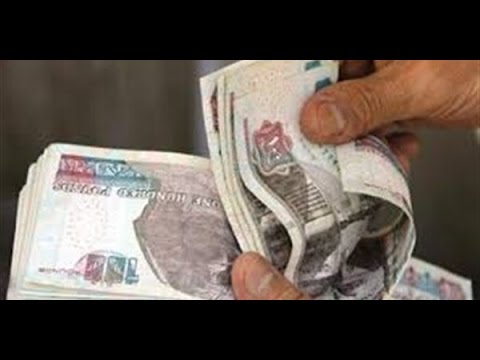 بالفيديوصرف مكافأة 1100 جنيه لعدد من العاملين في الحكومة