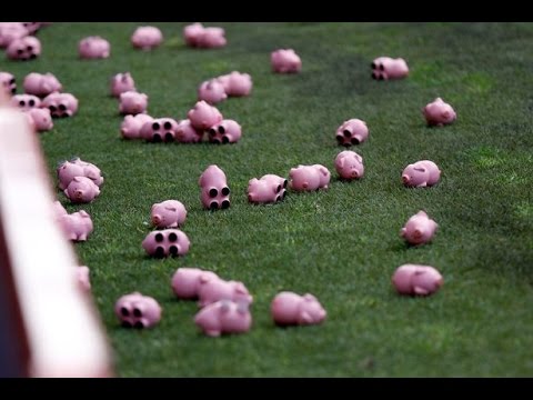 بالفيديو الخنازير الصغيرة وسيلة الجماهير الإنجليزية للاعتراض على سياسة النادي