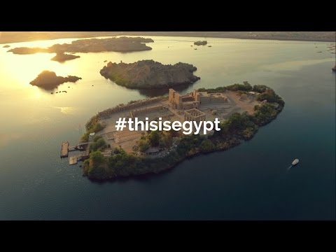 نجاح فيلم حملة هي دي مصر