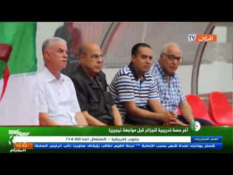 شاهد آخر حصة تدريبية للجزائر قبل مواجهة نيجيريا