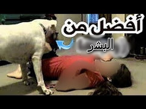 شاهد كلب يتولّى عقاب امرأة ارتكبت الزنا
