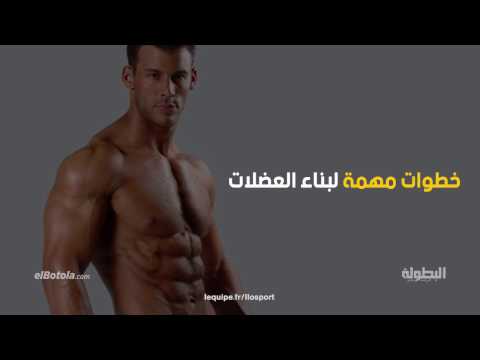 بالفيديو خطوات مهمة لبناء العضلات للأشخاص الرياضيين
