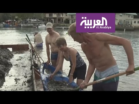 طحالب فلوريدا تقتل 100 ألف مخلوق