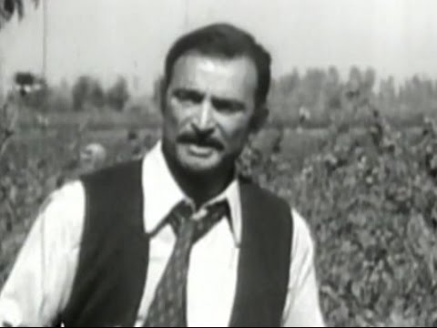 شاهد أحمد مظهر يكشف سر توقفه عن بيع الزهور