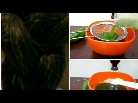 أفضل وصفة لشعر طويل وناعم بتكلفة بسيطة