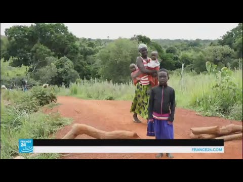 شاهد لاجئون من جنوب السودان يهربون إلى أوغندا مشيًا على الأقدام