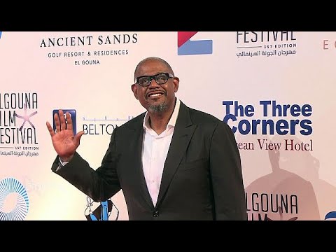 شاهد مهرجان الغونة السينمائي يختتم أعماله بتوزيع الجوائز