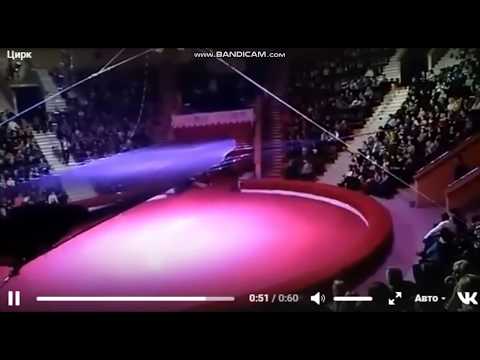 شاهد لحظة سقوط لاعبة غمباز أثناء قفزة مركبة