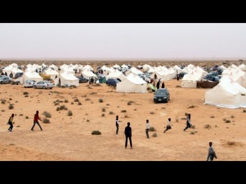 شاهد النازحون من تاورغاء الليبية تحت رحمة الصحراء والعقارب والثعابين