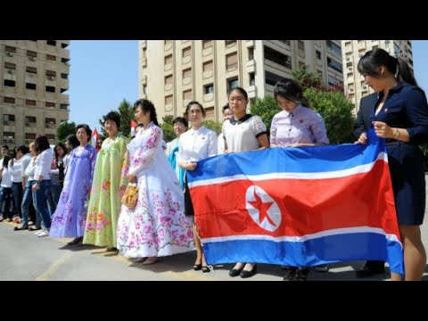 شاهد تقرير للأمم المتحدة يكشف عن إرسال كوريا الشمالية معدات محظورة إلى سورية