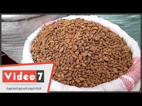 لوز الأرض أعشاب طبيعية بديلة لـفياغرا