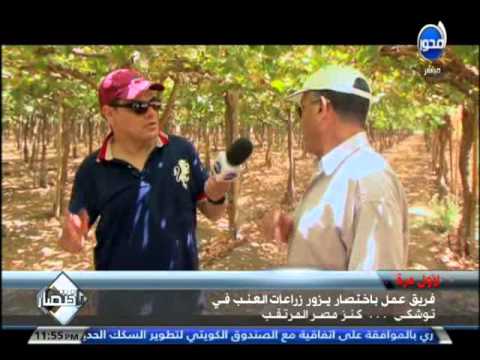 مشروع توشكي مُهدد بعدم استكماله