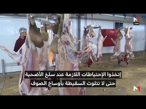 شاهد نصائح عليك اتباعها قبل وبعد عملية ذبح الأضاحي