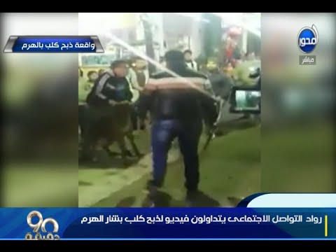 عالم أزهري يؤكّد أنَّ الإسلام دين الرحمة