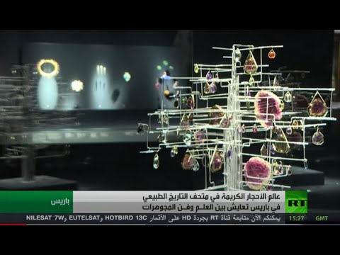 شاهد الأح جارالكريمة تعايش مبهر بين العلم والفن