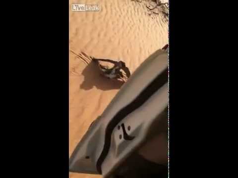 سعودي يصطاد طائرًا باستخدام صقر مدرب