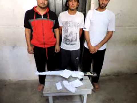 توقيف أفراد عصابة في البحيرة