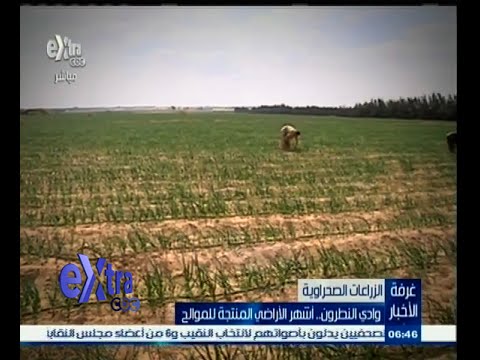 مزارعو وادي النطرون يستعدون للتوسع في الزراعة