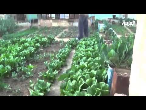 وفاة طفلة بمعضمية الشام بسبب سوء التغذية