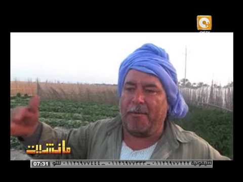 فيديو أهالي الشهابية يطالبون بتقنين 417 فدانًا