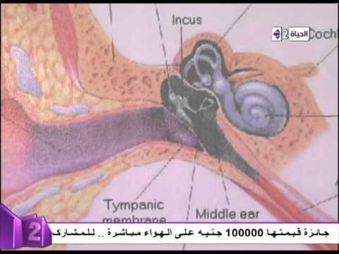 شاهد أفضل طريقة لتنظيف الأذن دون ألم