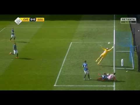 شاهدحارس إيفرتون تيم هاوارد يتألق مع فريقه