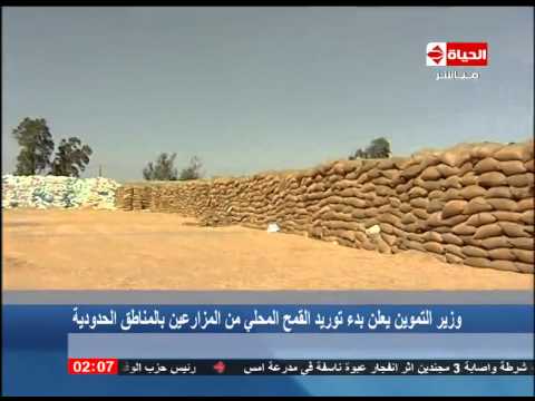 بالفيديو وزير التموين يعلن بدء توريد القمح المحلي من المزارعين