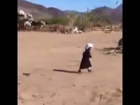 شاهد لحظة تعرض طفل لركلة عنيفة من جمل