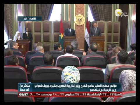 شكري يؤكد أن تنظيم داعش يهدد وحدة العراق ويجب القضاء عليه