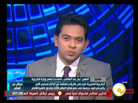 بالفيديو عبد العاطي يؤكد أنّ هناك إجماع على جدارة مصر بعضوية مجلس الأمن