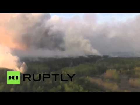 شاهد السلطات الأوكرانية تقاوم حرائق تجتاح الغابات