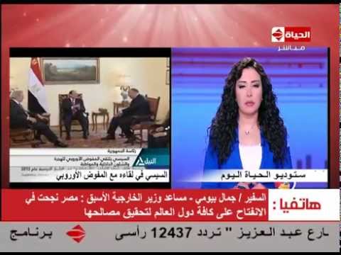 بالفيديو السيسي يؤكد على الإهتمام بمكافحة الهجرة الغير شرعية