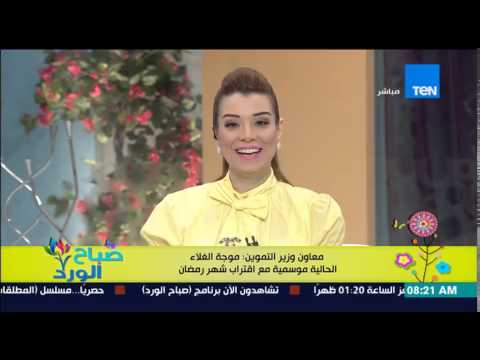 بالفيديو معاون وزير التموين يؤكد أنَّ موجة الغلاء موسمية