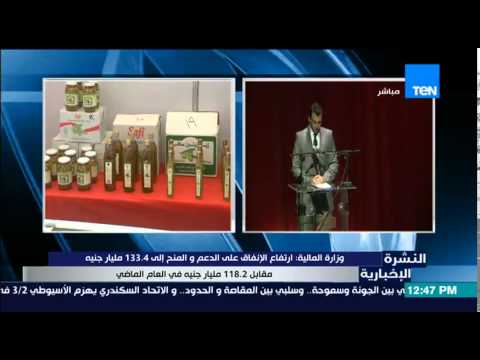 شاهد ارتفاع الإنفاق على الدعم إلى 1334 مليار جنيه